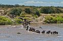 085 Tanzania, N-Serengeti, migratie van de gnoes